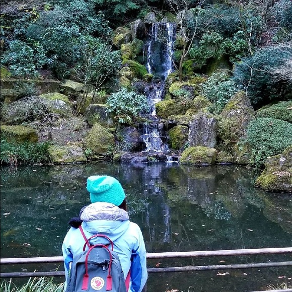 Meet your Posher, Sheba - Picture 5 of 5